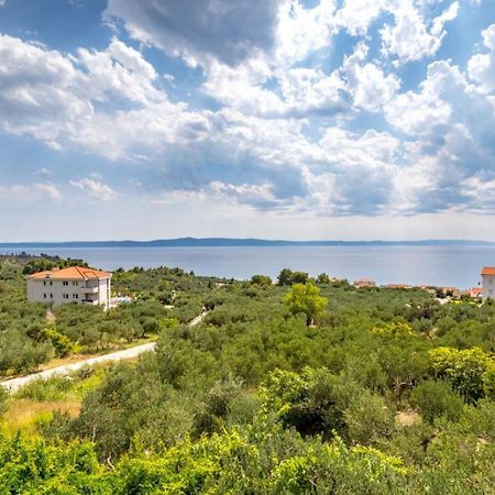 Apartment Damir Tučepi Dış mekan fotoğraf